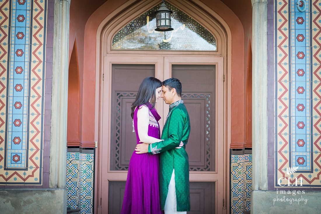 CLH images Photography - Engagement Photographer - Hudson NY - Olana - Becky and Harinder (39)