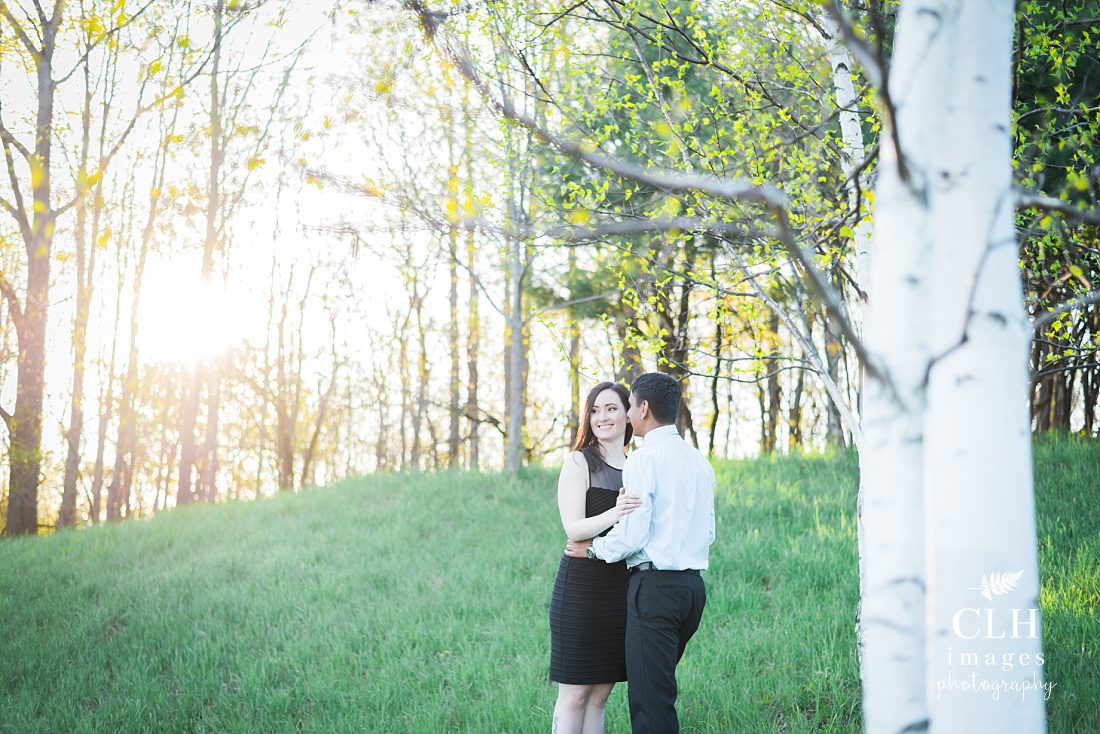 CLH images Photography - Engagement Photographer - Hudson NY - Olana - Becky and Harinder (60)