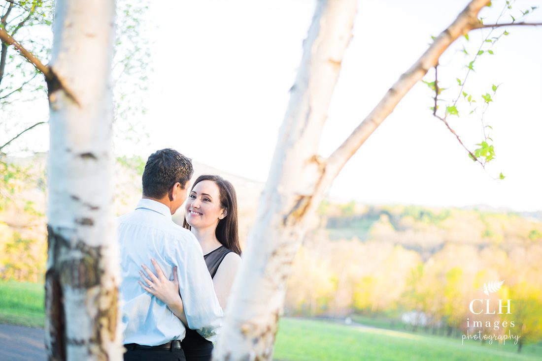 CLH images Photography - Engagement Photographer - Hudson NY - Olana - Becky and Harinder (61)
