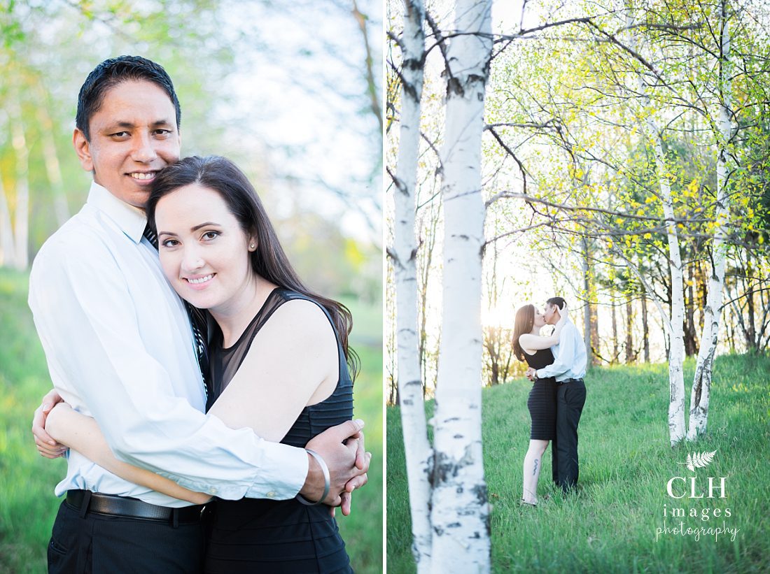 CLH images Photography - Engagement Photographer - Hudson NY - Olana - Becky and Harinder (62)