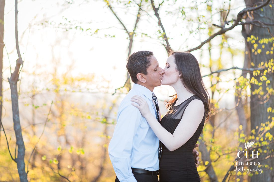 CLH images Photography - Engagement Photographer - Hudson NY - Olana - Becky and Harinder (67)