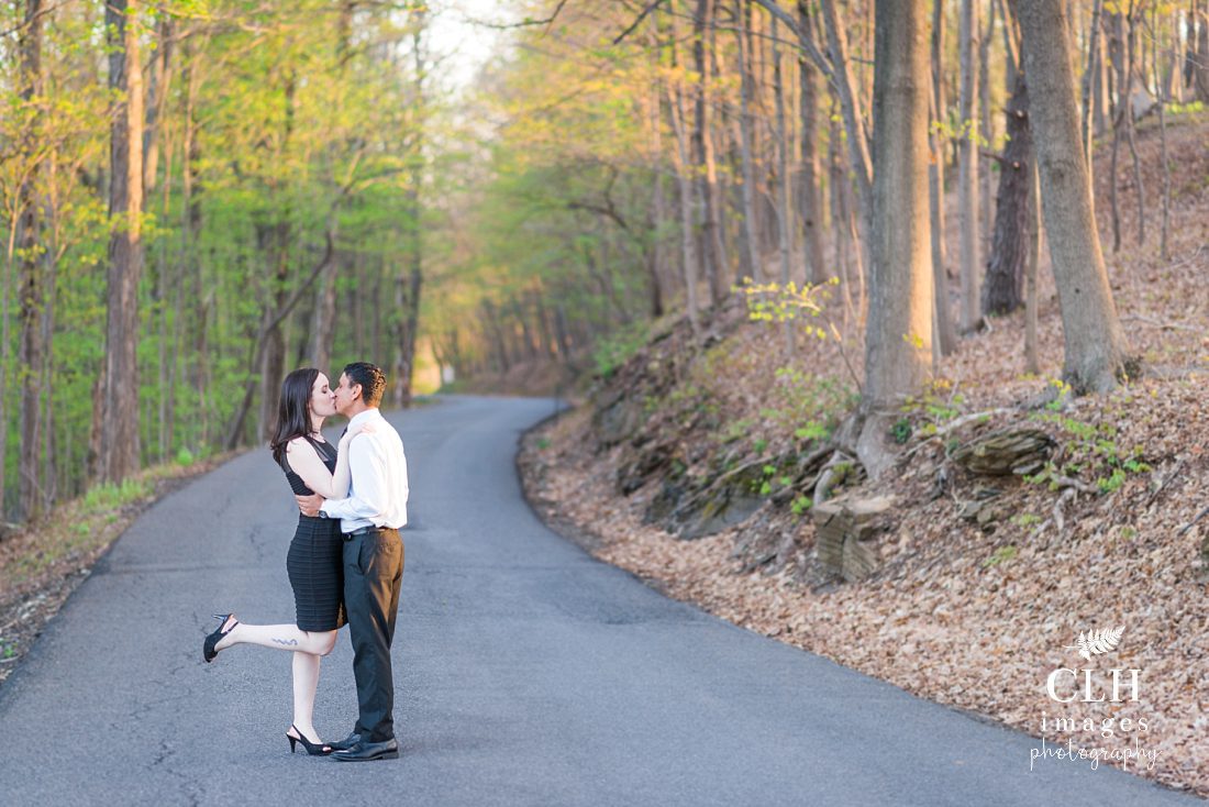 CLH images Photography - Engagement Photographer - Hudson NY - Olana - Becky and Harinder (69)