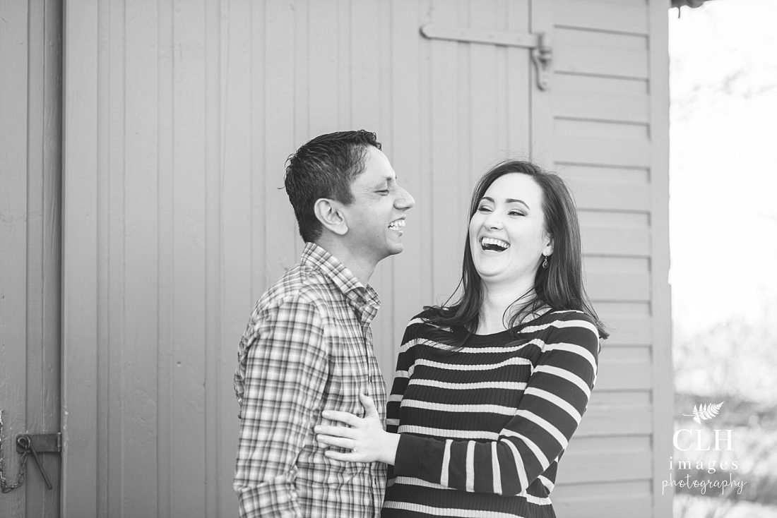 CLH images Photography - Engagement Photographer - Hudson NY - Olana - Becky and Harinder (7)