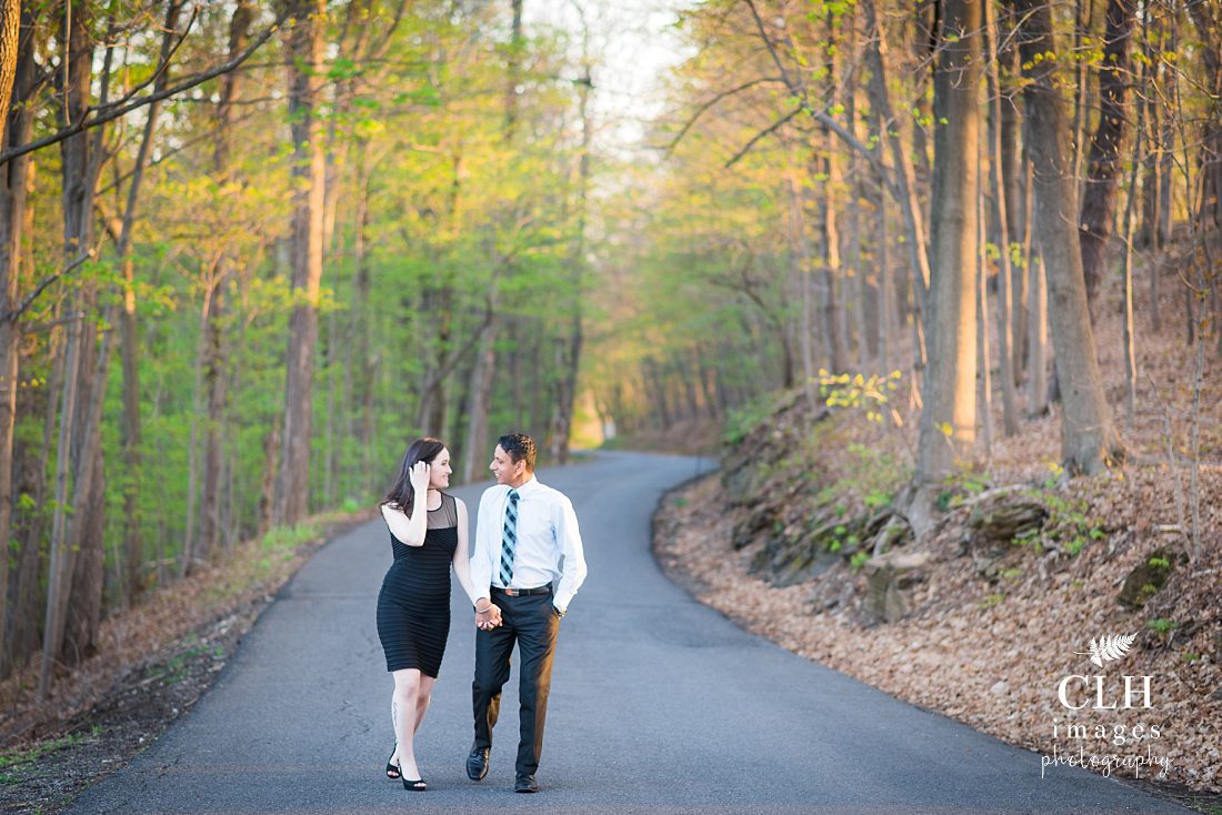 CLH images Photography - Engagement Photographer - Hudson NY - Olana - Becky and Harinder (71)