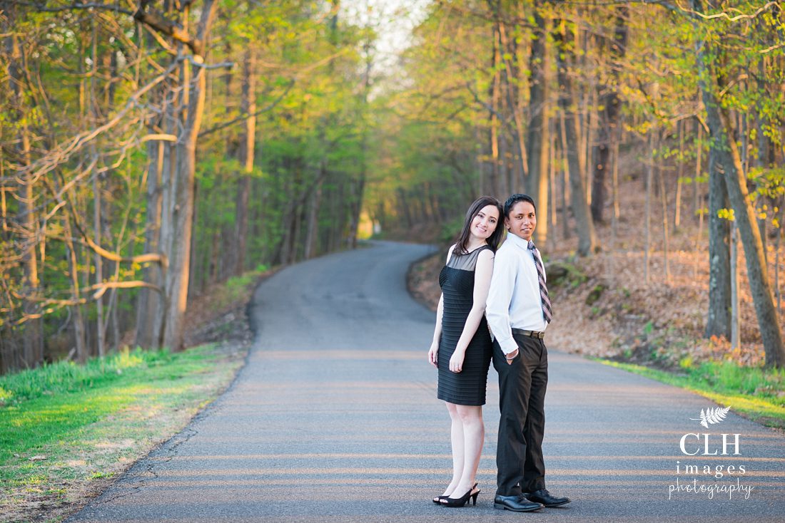 CLH images Photography - Engagement Photographer - Hudson NY - Olana - Becky and Harinder (72)