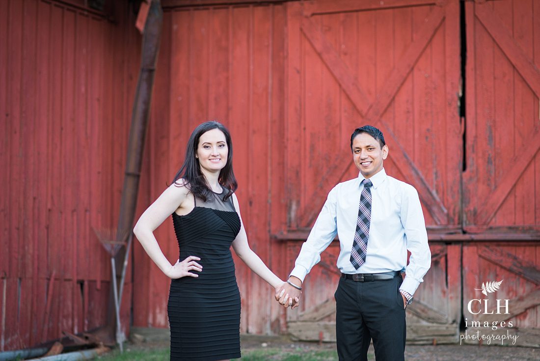CLH images Photography - Engagement Photographer - Hudson NY - Olana - Becky and Harinder (73)