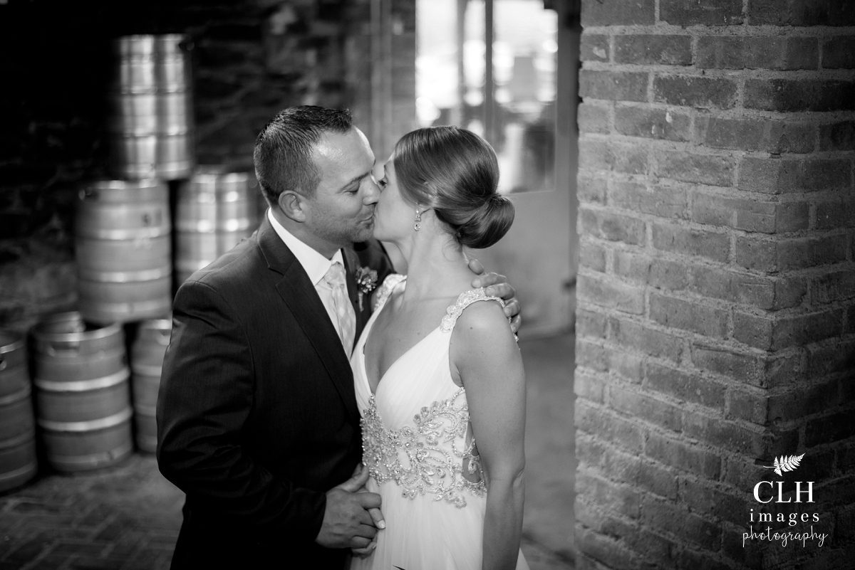 CLH images Photography - Troy New York Wedding Photographer - Revolution Hall (78)