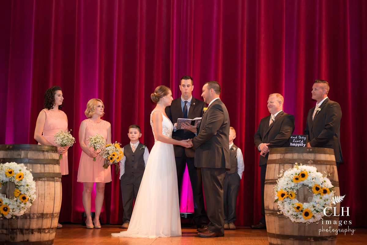 CLH images Photography - Troy New York Wedding Photographer - Revolution Hall (90)